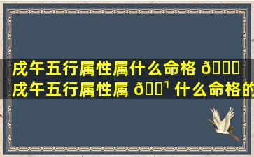 戌午五行属性属什么命格 🕊 （戌午五行属性属 🌹 什么命格的）